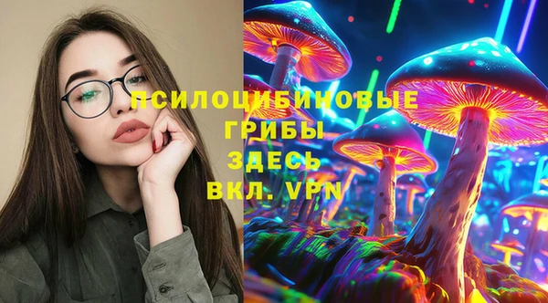 прущие крисы Аркадак